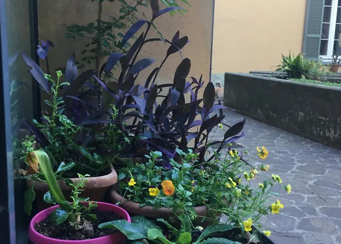 La Casa Nel Chiostro Tra E Monti * Lecco